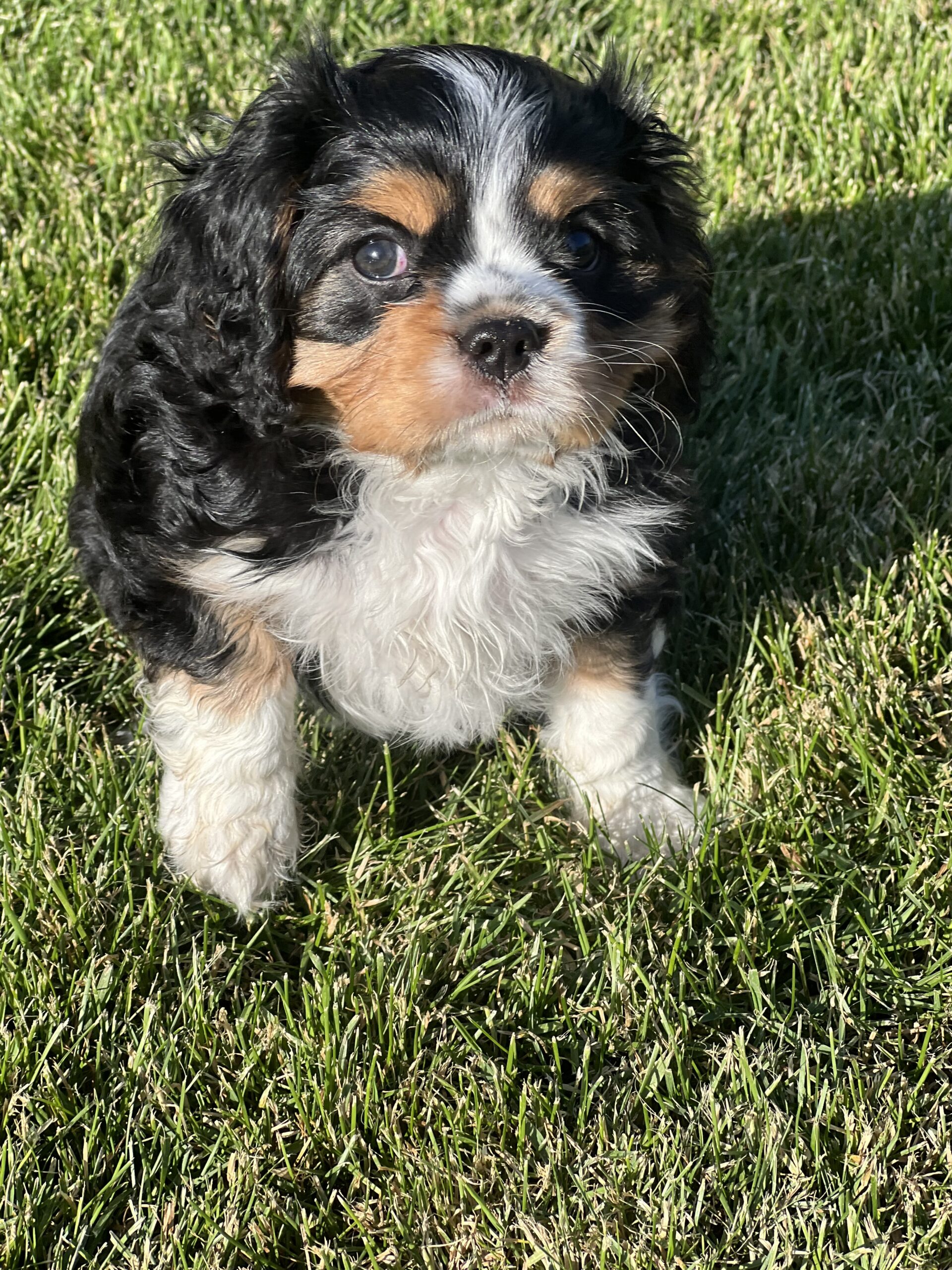 George